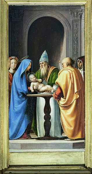 Presentation in the temple, 1497-99, (oil on panel)