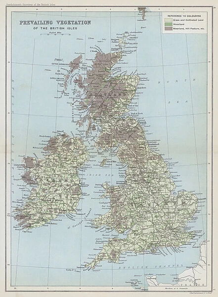 Prevailing vegetation of the British Isles (colour litho)