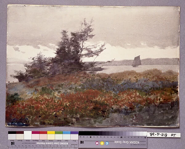 Prouts Neck: Looking Toward Old Orchard, 1883 (watercolor)