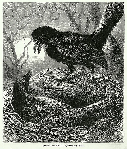 Quarrel of the Rooks (engraving)