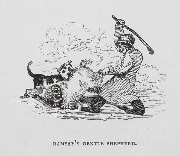 Ramsays Gentle Shepherd (engraving)