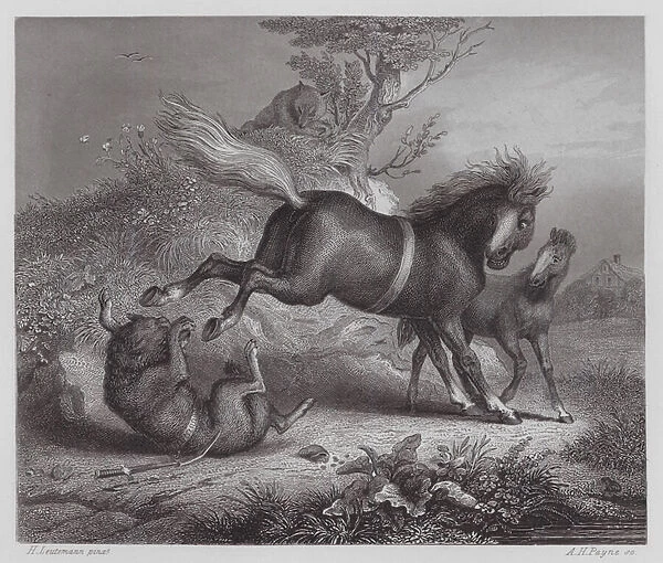 Reynard The Fox: The Mare and Wolf (engraving)