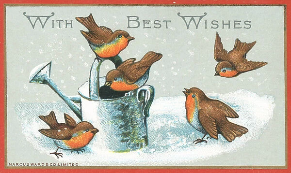 Five Robins and Watering Can, Christmas Card (chromolitho)