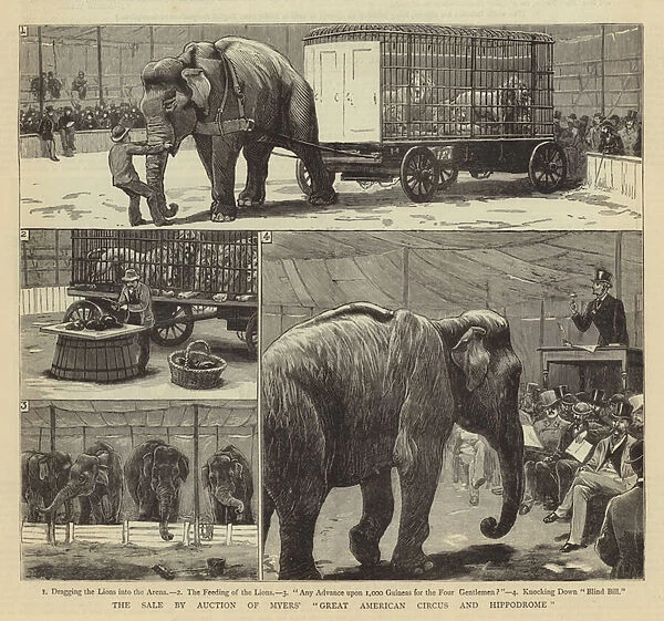 The Sale by Auction of Myers 'Great American Circus and Hippodrome'(engraving)