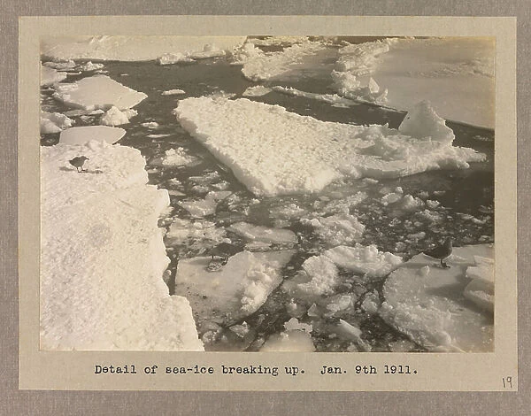 Detail of the sea-ice breaking up, 1911 (b / w photo)