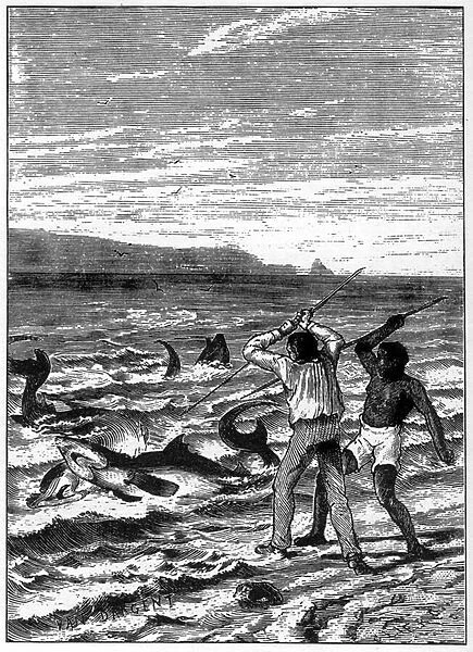 Shark fishing. Engraving 19th by Yan Dargent. Two fishermen (a white man and a black man) harpoons from the beach of sharks swimming near the shore