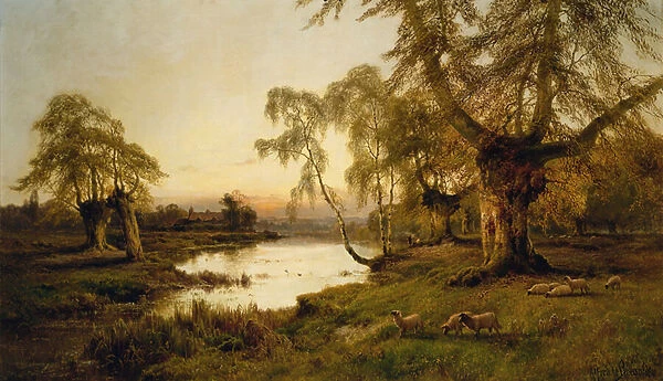 Sheep Grazing by a Lake at Sunset (oil on canvas)