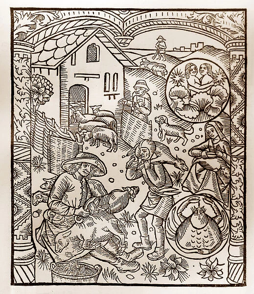Shepherds calendar - The Labours of the Months - June - Woodcut from the 1496 book