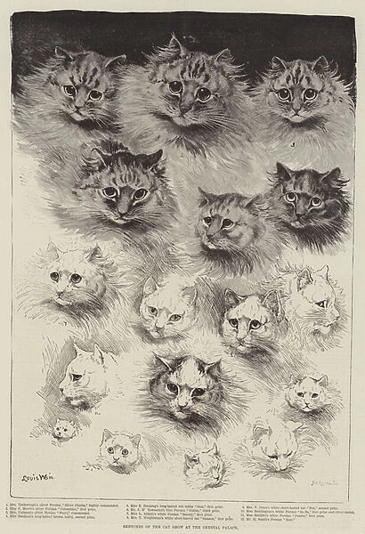Sketches of the Cat Show at the Crystal Palace (engraving)