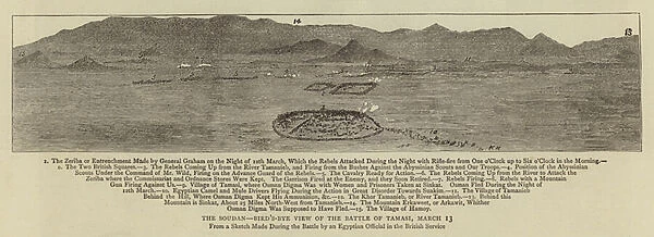 The Soudan, Bird s-Eye View of the Battle of Tamasi, 13 March (engraving)