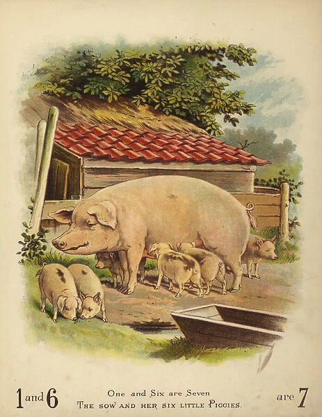 The Sow and Her Six Little Piggies (chromolitho)