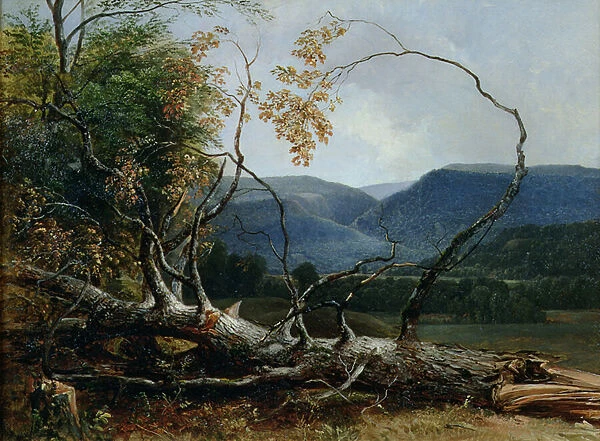Stratton Notch, Vermont, 1853 (oil on canvas)