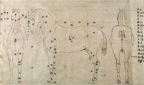 Study for a horse for an equestrian monument (drawing, 18th century)