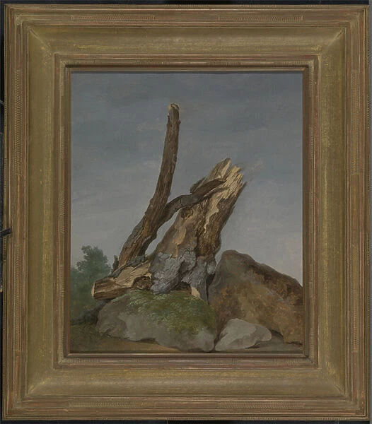 Study of Rocks and Branches, c.1795 (oil on paper)