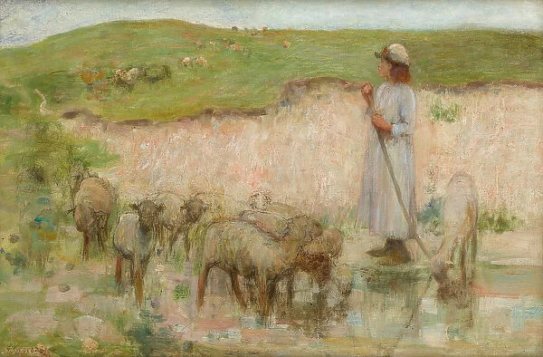 A Study for Sheep Pool on the South Downs (oil on canvas)
