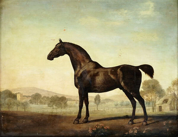 Sweetwilliam, a Bay Racehorse, in a Paddock, 1779 (oil on panel)