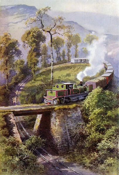 Train rounding Agony Point, a loop on the Darjeeling Himalayan Railway, India (colour litho)