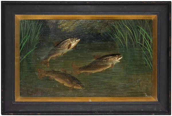 Trout in a river (oil on canvas)