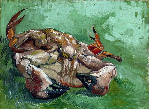 'Un crabe sur son dos'(A crab lying on his back) Peinture de Vincent van Gogh (1853-1890) 1889 Dim 38x46, 5 cm Van Gogh Museum, Amsterdam