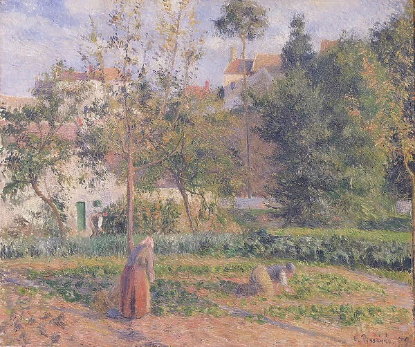Vegetable Garden at the Hermitage, Pontoise, 1879 (oil on canvas)