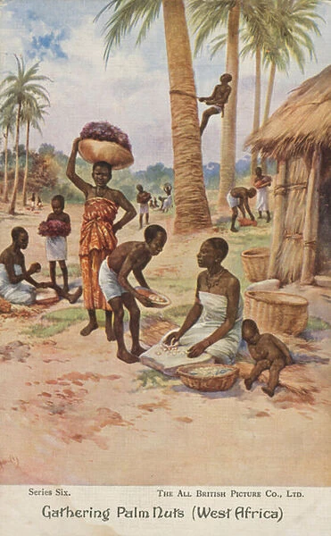 Villagers gathering palm nuts, West Africa (colour litho)