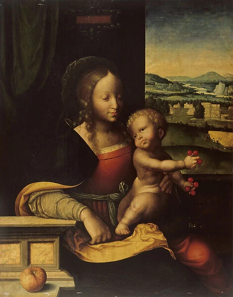 Virgin and Child, 1529 (oil on panel)