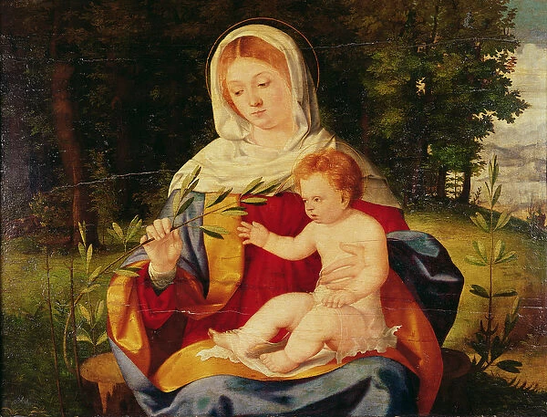 The Virgin and Child with a shoot of Olive, c. 1515 (oil on wood)