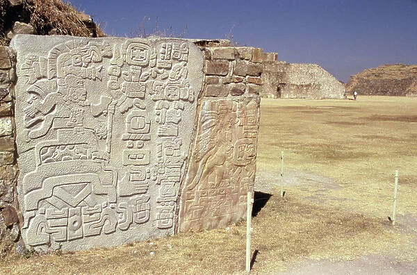 Wall carved with hieroglyphics (stone)