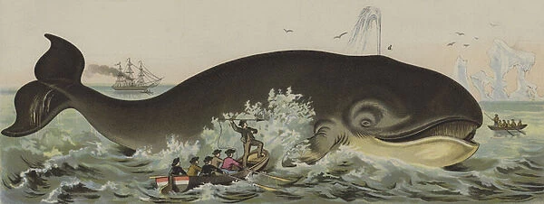 Whaling (colour litho)