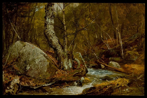 Woodland Interior, c. 1850-55 (oil on canvas)