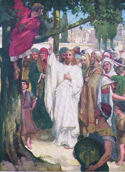 Zacchaeus, from The Bible Picture Book published by Thomas Nelson, c. 1950 (colour litho)