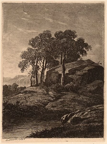 Alexandre Calame, Trees by a Rock, Swiss, 1810 - 1864, 1845, etching