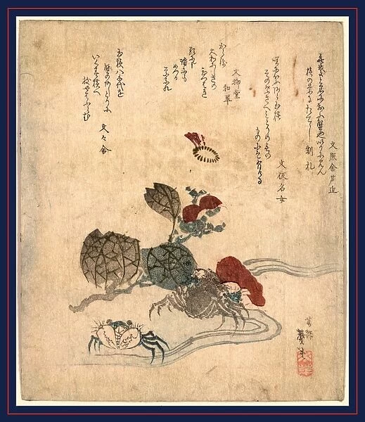 Benkeigani to tsubaki, Benkei crab and camellia