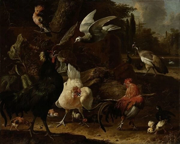Birds in a Park, Melchior d Hondecoeter, 1686
