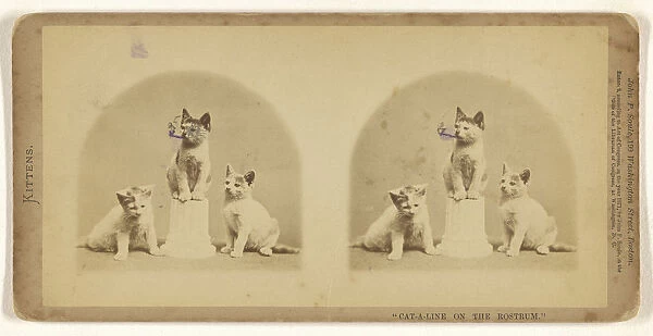 Cat-a-line Rostrum. John P Soule American 1827