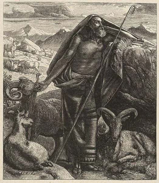 Drawings Prints, Print, Moses Keeping Jethro sheep, Dalziels Bible Gallery