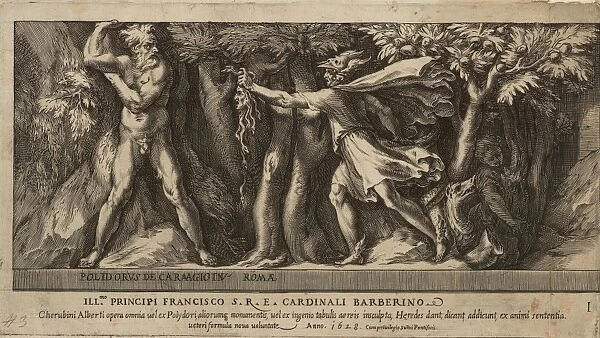 Drawings Prints, Print, Perseus Garden Hesperides, Artist, Cherubino Alberti, Zaccaria Mattia