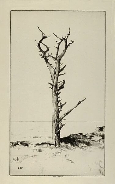 Drawings Prints, Print, Solitude, Artist, Ernest Haskell, American, Woodstock, Connecticut