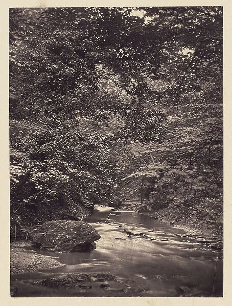 Forest stream Arthur Brown British active 1850s