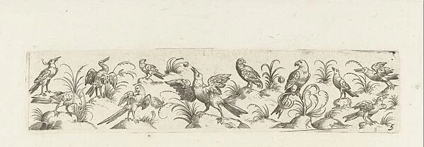 Frieze eleven birds and insect, Pieter Serwouters, Hans Collaert (I), Marcus Geeraerts, c