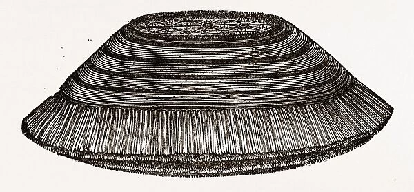 Furniture Brush, 19th Century