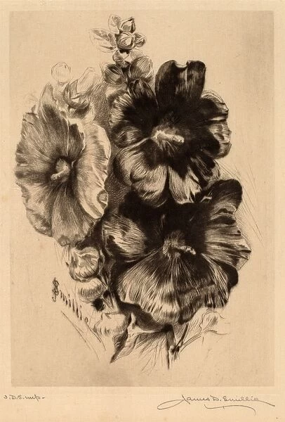James David Smillie, Dark Single Hollyhocks, American, 1833 - 1909, 1890, drypoint