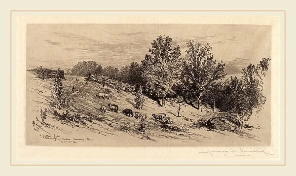 James David Smillie, A Fallow Field, American, 1833-1909, 1883, etching in black