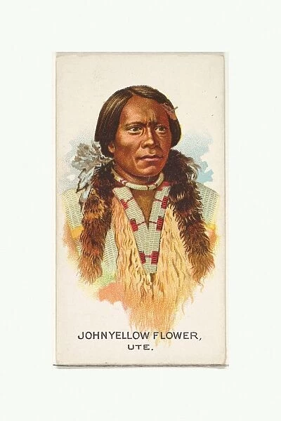 John Yellow Flower Ute American Indian Chiefs series