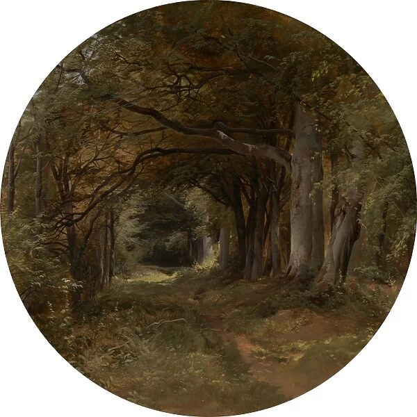 Landscape Gunton Park - A Beech Glade, John Middleton, 1826-1856, British