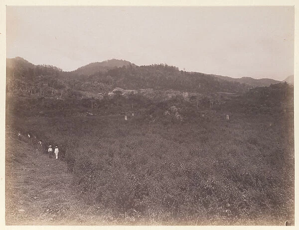 Landscape view towards stelae unexcavated mounds