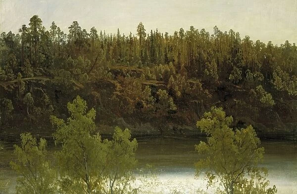Marcus Larson Swedish Lake Study Swedish lake landscape