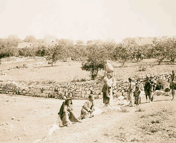 N Palestine 1898
