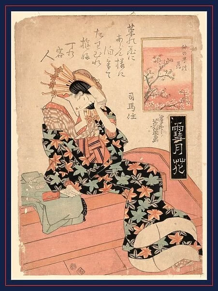 NakanochAc no hana, Blossom of Nakanocho. Ikeda, Eisen, 1790-1848, artist, [between 1818