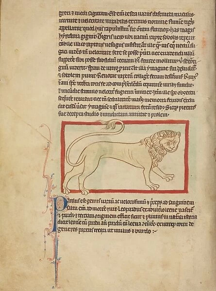 A Pard; Unknown; England, Europe; about 1250 - 1260; Pen-and-ink drawings